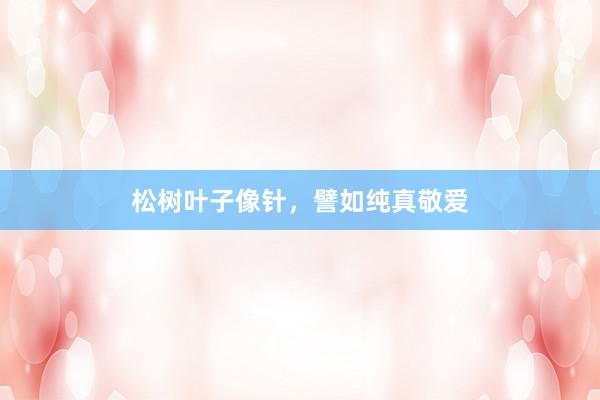 松树叶子像针，譬如纯真敬爱